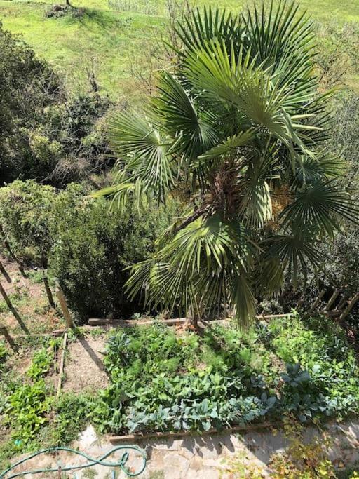 Ca' Cuore In Monferrato Serralunga di Crea エクステリア 写真