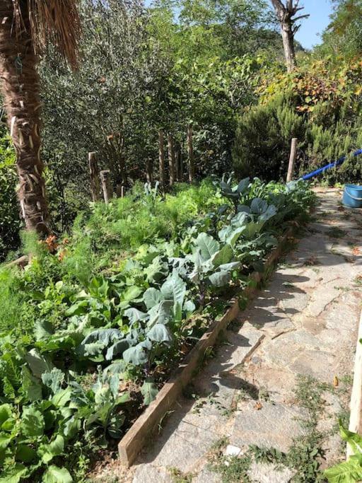 Ca' Cuore In Monferrato Serralunga di Crea エクステリア 写真